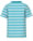 name-it-t-shirt-kurzarm-nmmdike-swedish-blue-13226084