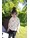 sense-organics-fruehjahrs-sweater-dari-fruechten-bio-baumwolle-frui