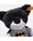 steiff-batman-teddybaer-soft-cuddly-friends-29cm-bunt