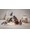 steiff-bingo-affe-20-cm-x1f412