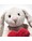 steiff-hoppie-hase-love-16-cm-hellgrau