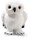 steiff-plueschfigur-eule-hedwig-21cm-weiss-x1f989