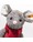 steiff-plueschtier-mia-maus-christmas-21-cm-