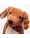 steiff-waldi-dackel-30cm-x1f43e